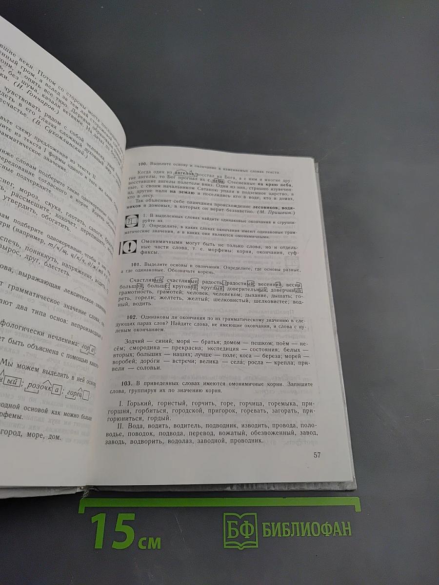 Русский язык: Грамматика. Текст. Стили речи. Учебник для 10-11 классов