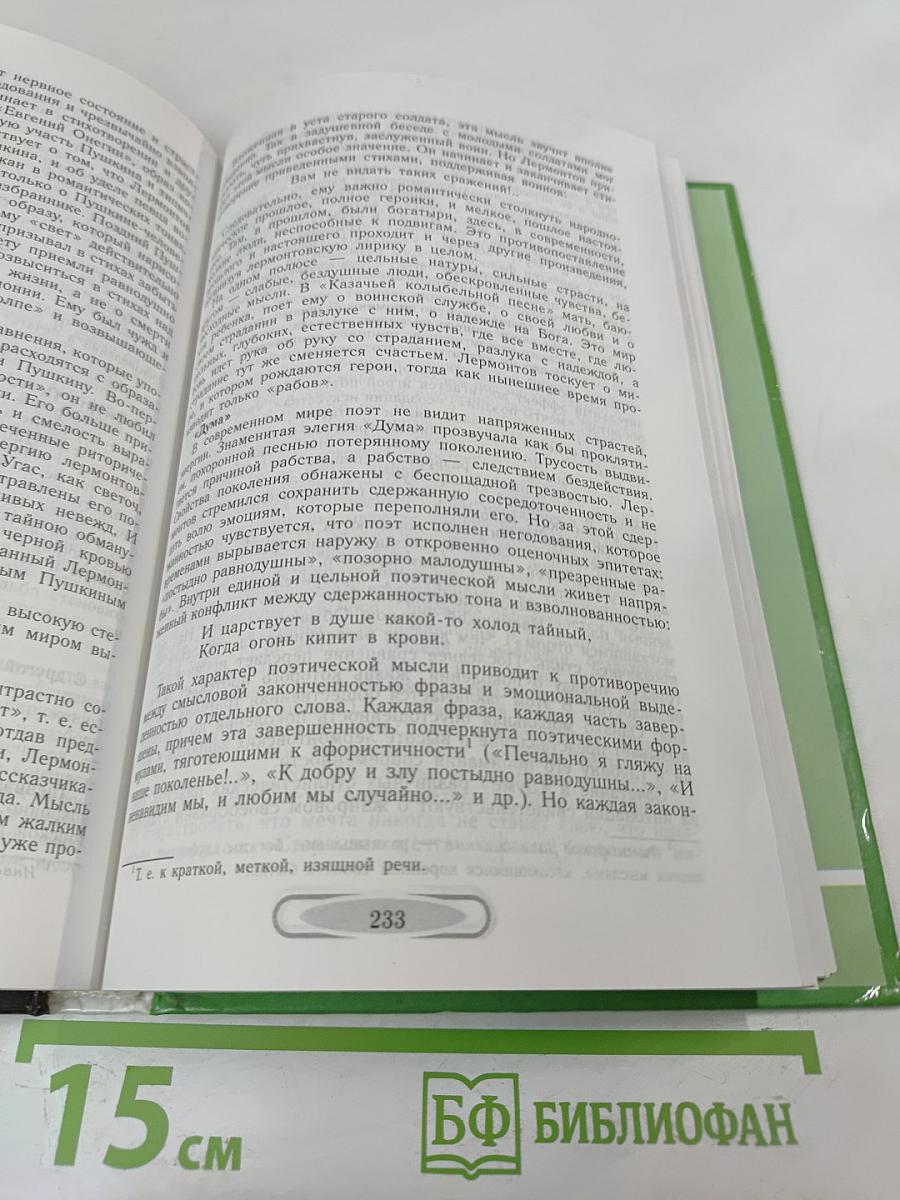 Русская литература XIX века. 10 класс. Часть 1