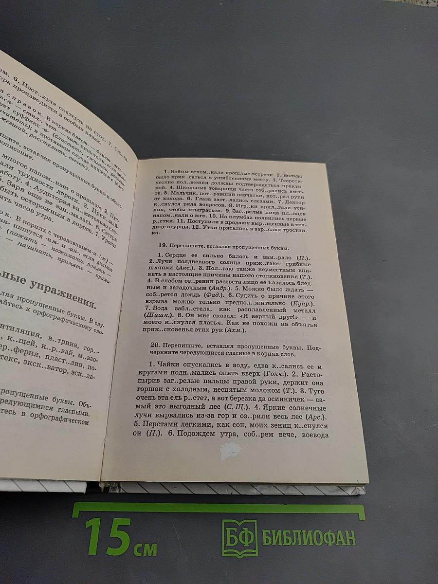 Русский язык. 10-11 классы
