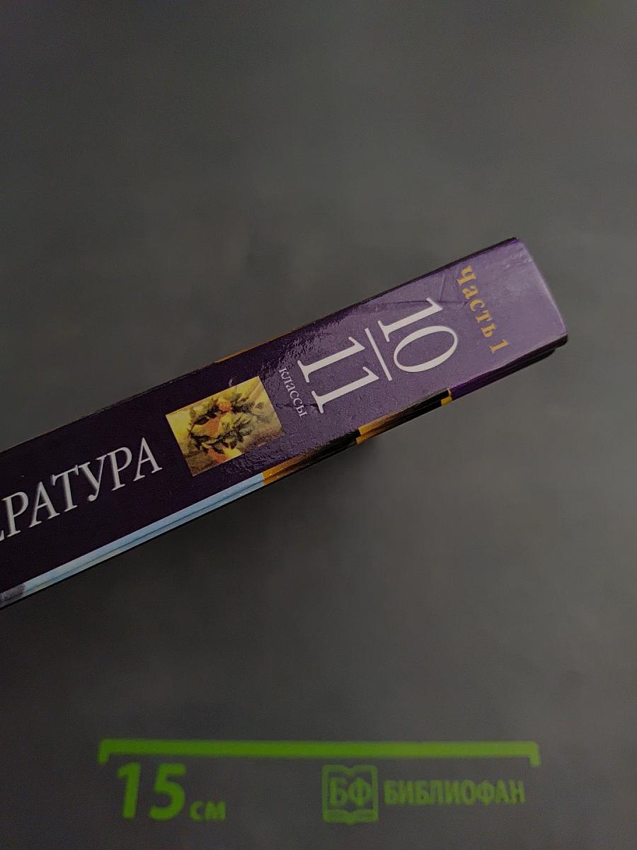 Зарубежная литература 10-11 классы. Часть 1. Учебник-хрестоматия