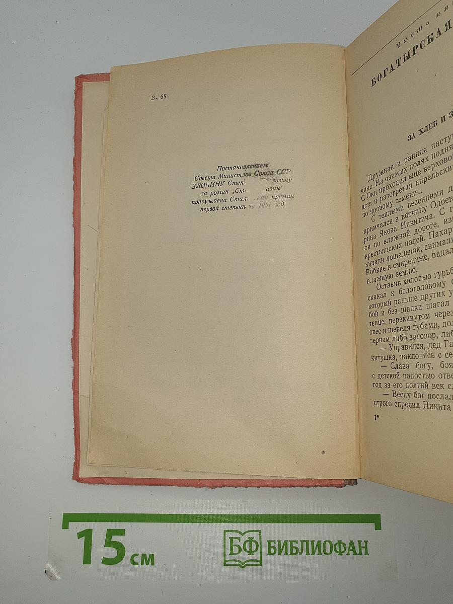 Степан Разин. Книга вторая