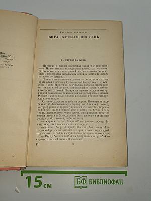 Степан Разин. Книга вторая