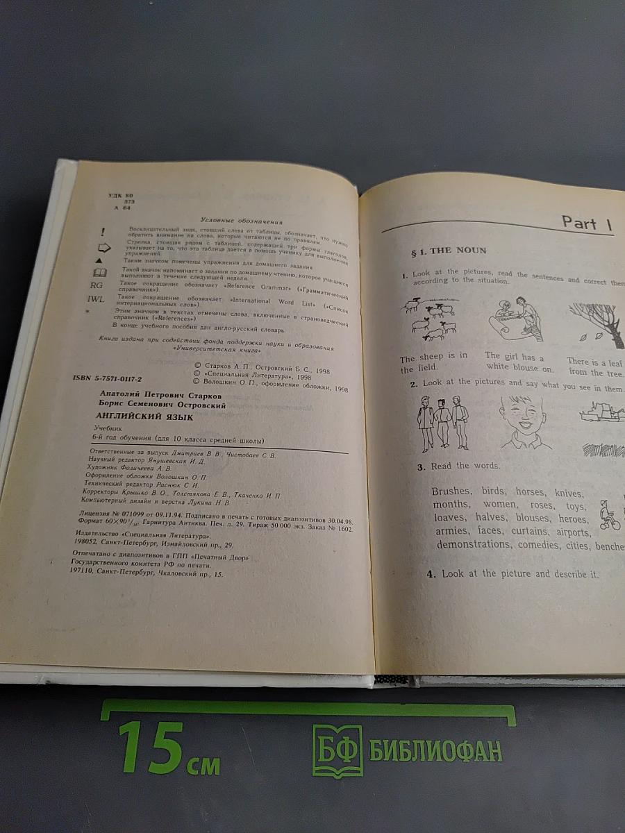 English 6-й год обучения (для 10 класса средней школы)