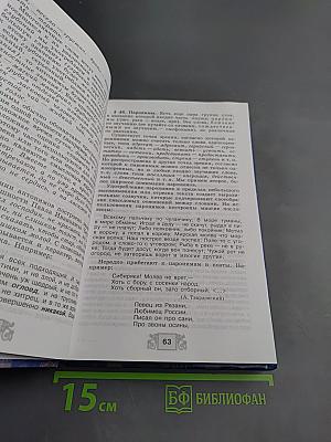 Русская словесность. От слова к словесности 10-11 классы