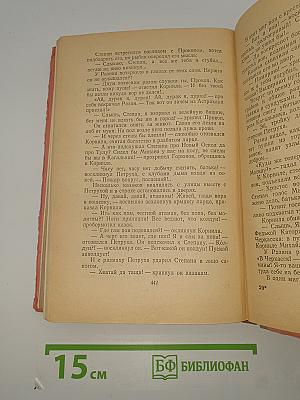 Степан Разин. Книга вторая