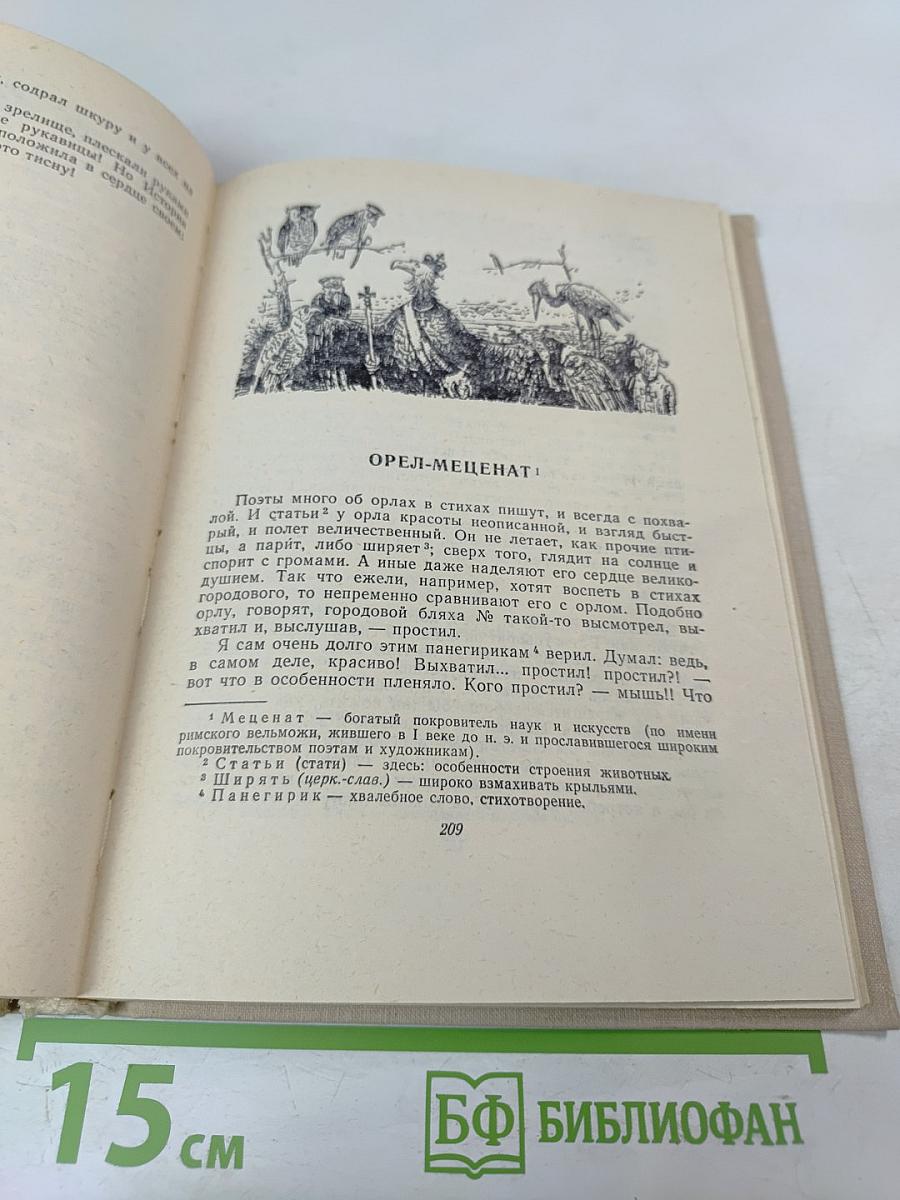 Рассказы. Очерки. Сказки