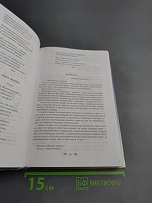 Русская литература XX века. 11 класс, Часть 2. Хрестоматия