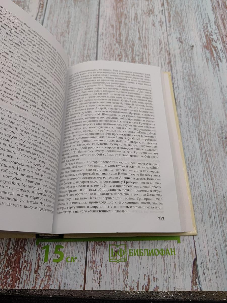 Литература. 11 класс. Часть 2