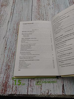 Литература. 11 класс. Часть 2