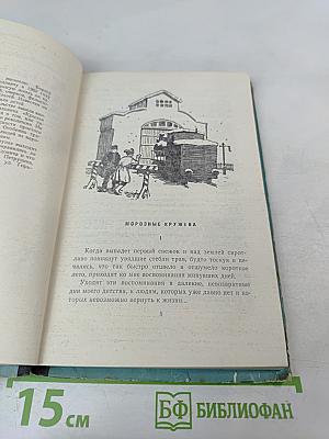 Крылья Артема Летуна