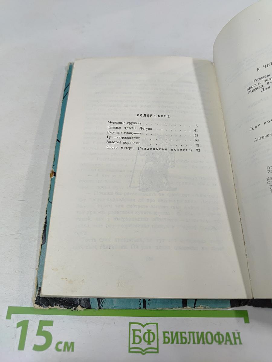 Крылья Артема Летуна