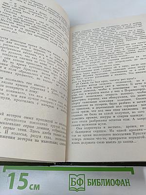 Кристин, дочь Лавранса. Книга 3. Крест