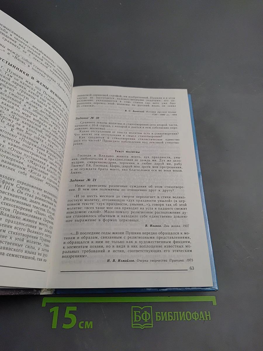 Русская литература XIX века. 10 класс. Практикум