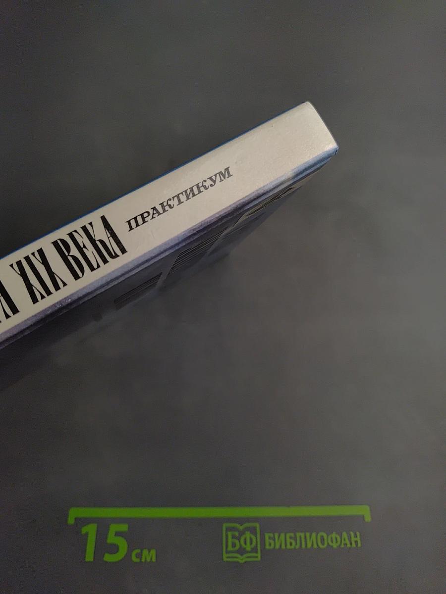 Русская литература XIX века. 10 класс. Практикум