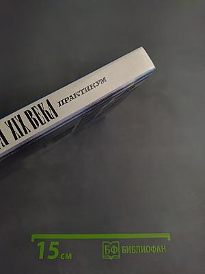 Русская литература XIX века. 10 класс. Практикум