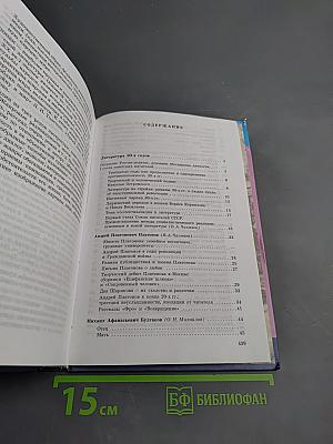 Литература 11 класс. Часть 2