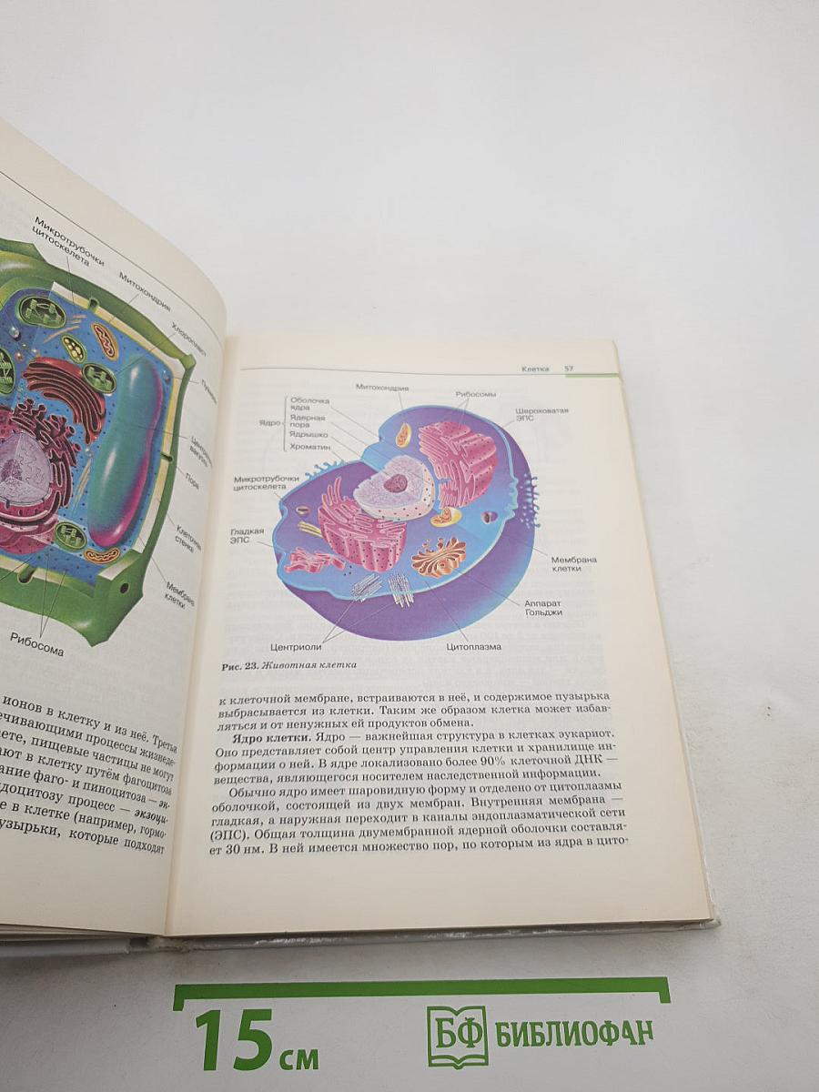 Биология. Общая биология. Базовый уровень. 10-11 классы