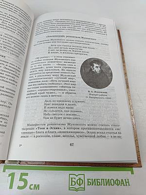 Русская литература XIX века, 10 класс, Учебник