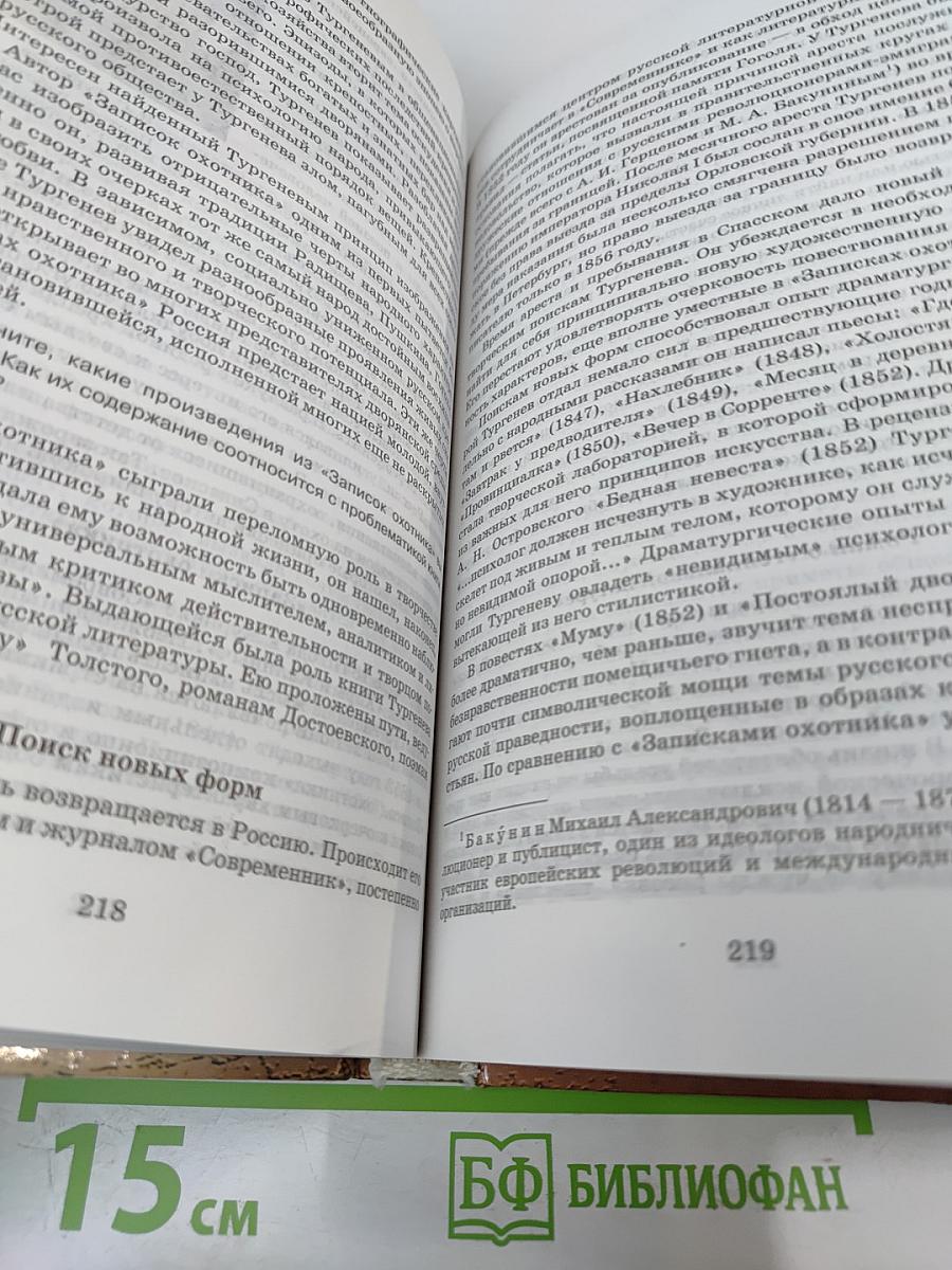 Русская литература XIX века, 10 класс, Учебник