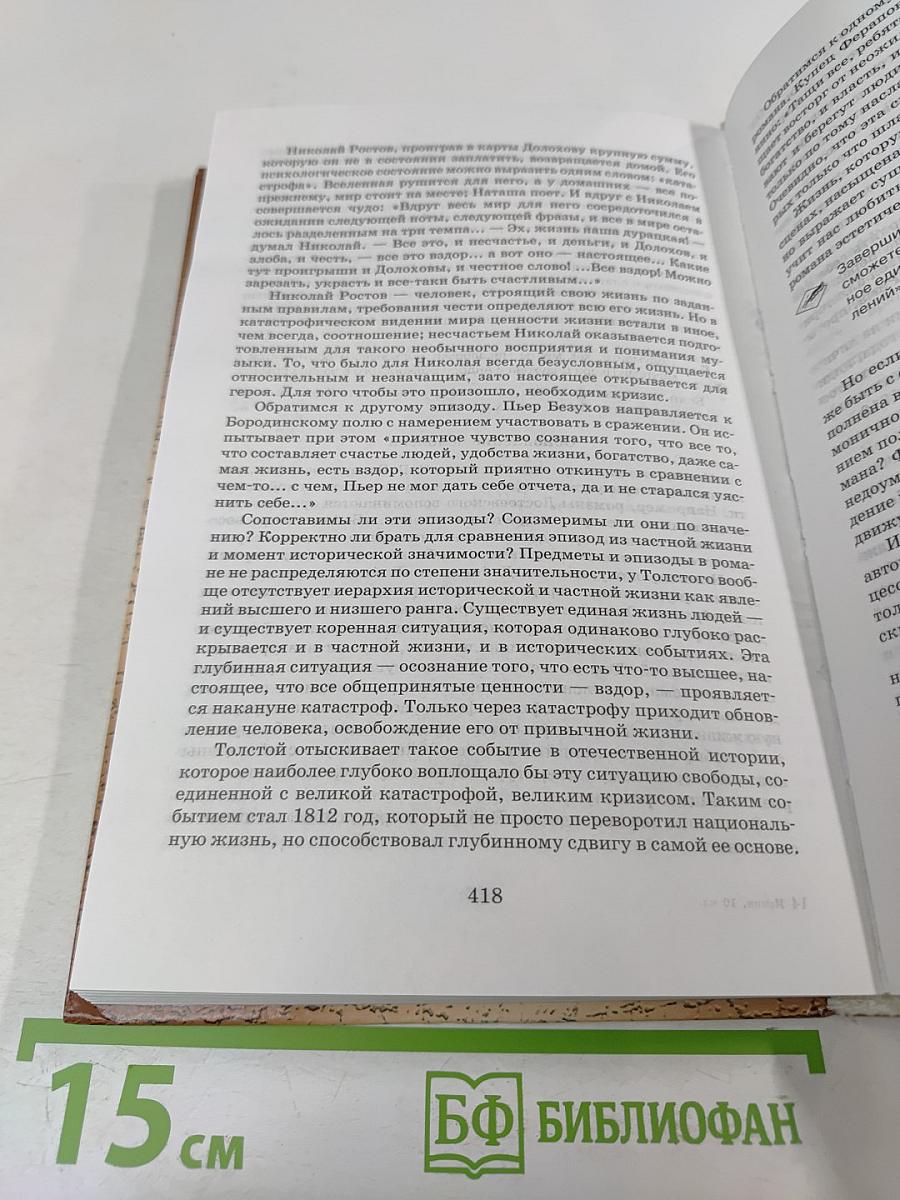 Русская литература XIX века, 10 класс, Учебник