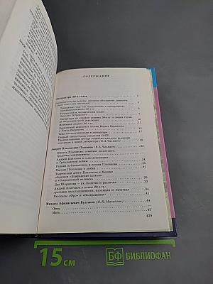 Русская литература XX века 11 класс, Часть 2