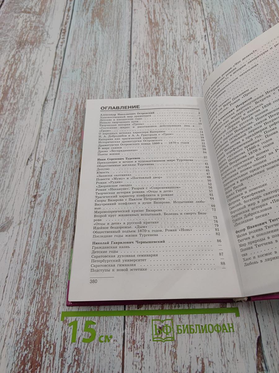 Литература 10 класс, Часть 2