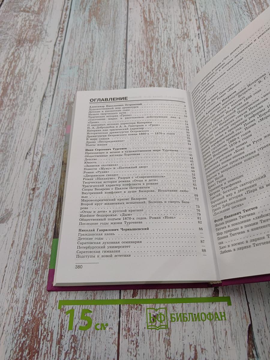 Литература. 10 класс. Часть 2