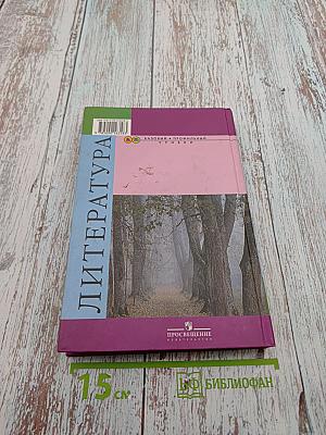 Литература. 10 класс. Часть 2