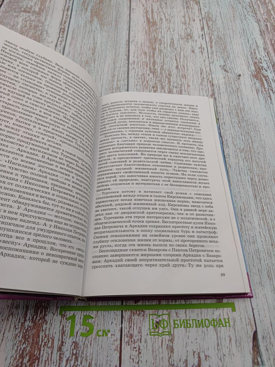 Русская литература XIX века. 10 класс. Часть вторая