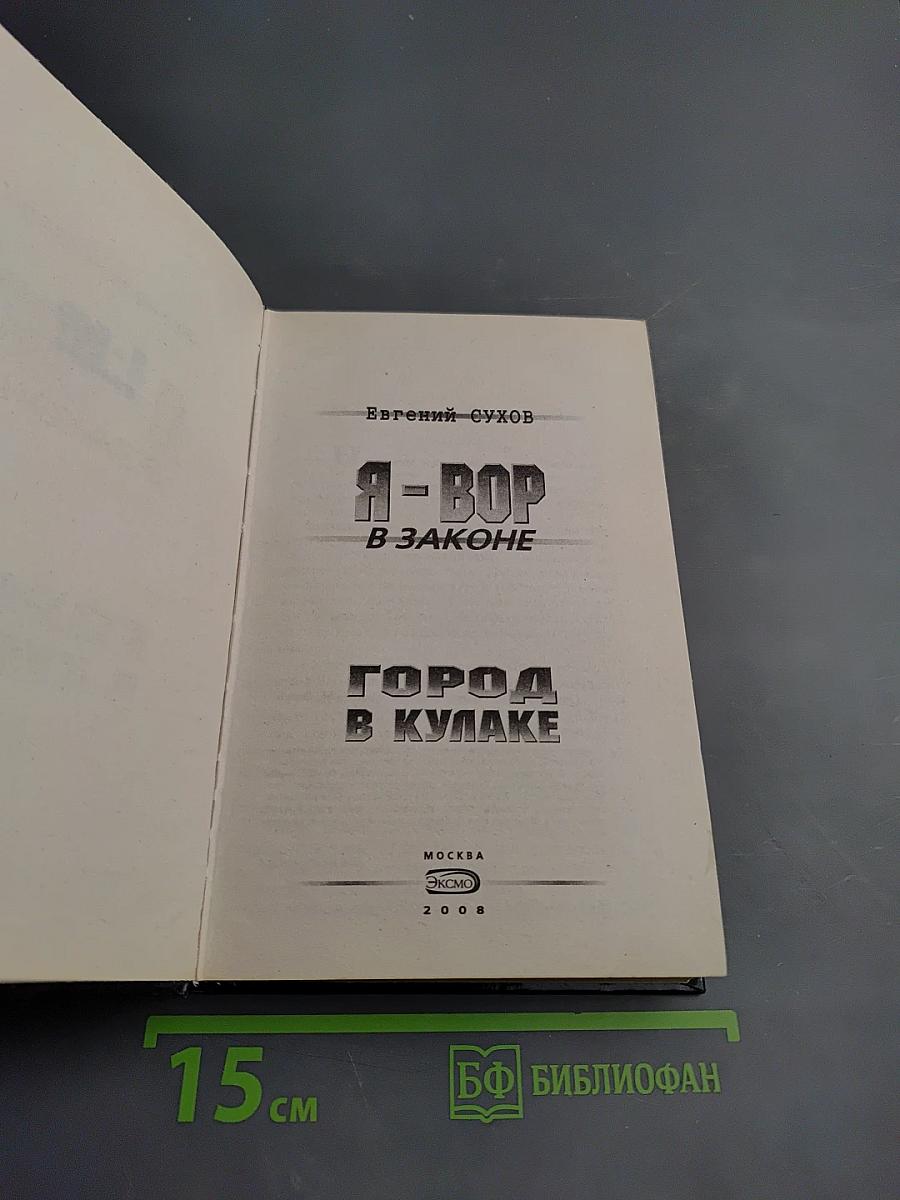 Я – вор в законе. Город в кулаке