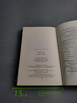 Я – вор в законе. Город в кулаке