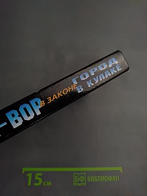 Я – вор в законе. Город в кулаке