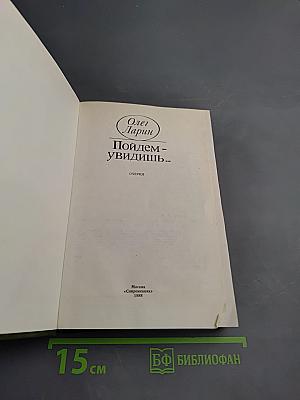 Пойдем - увидишь...