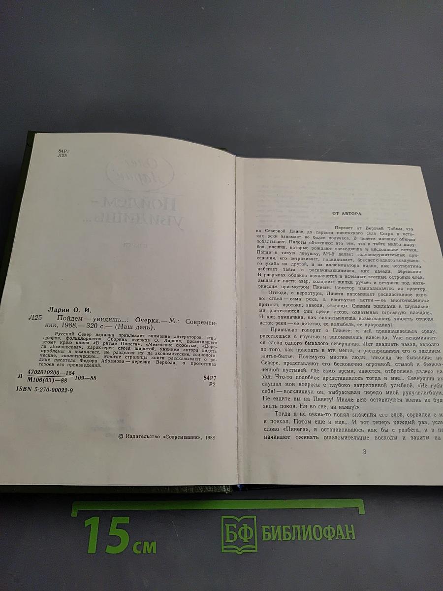 Пойдем - увидишь...