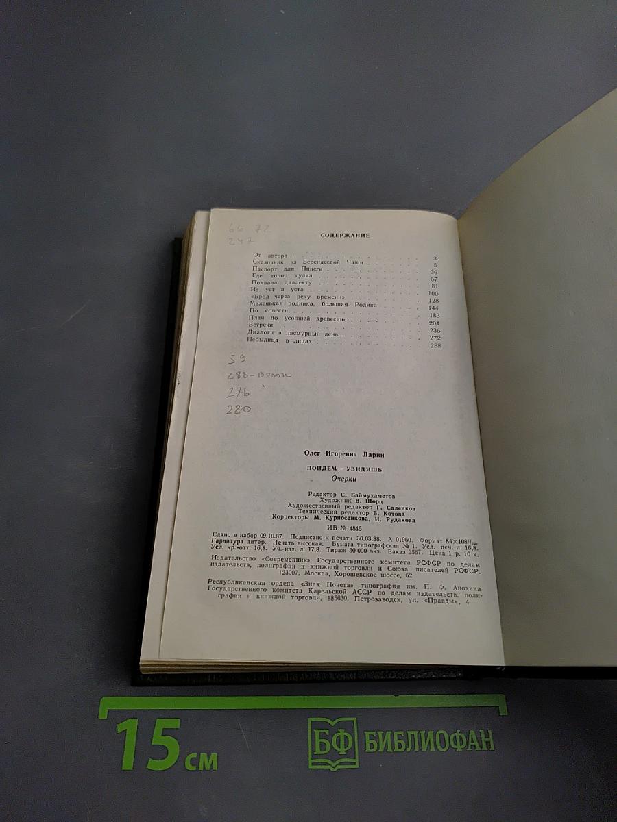 Пойдем - увидишь...