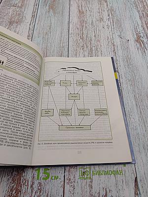 Основы Безопасности Жизнедеятельности 10 класс