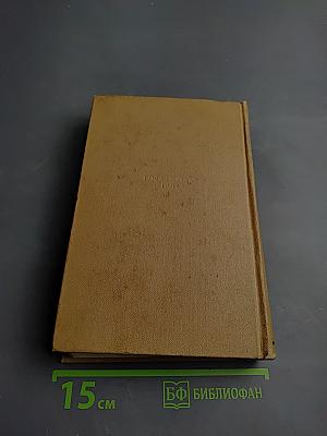 Сочинения. Том I. Романы