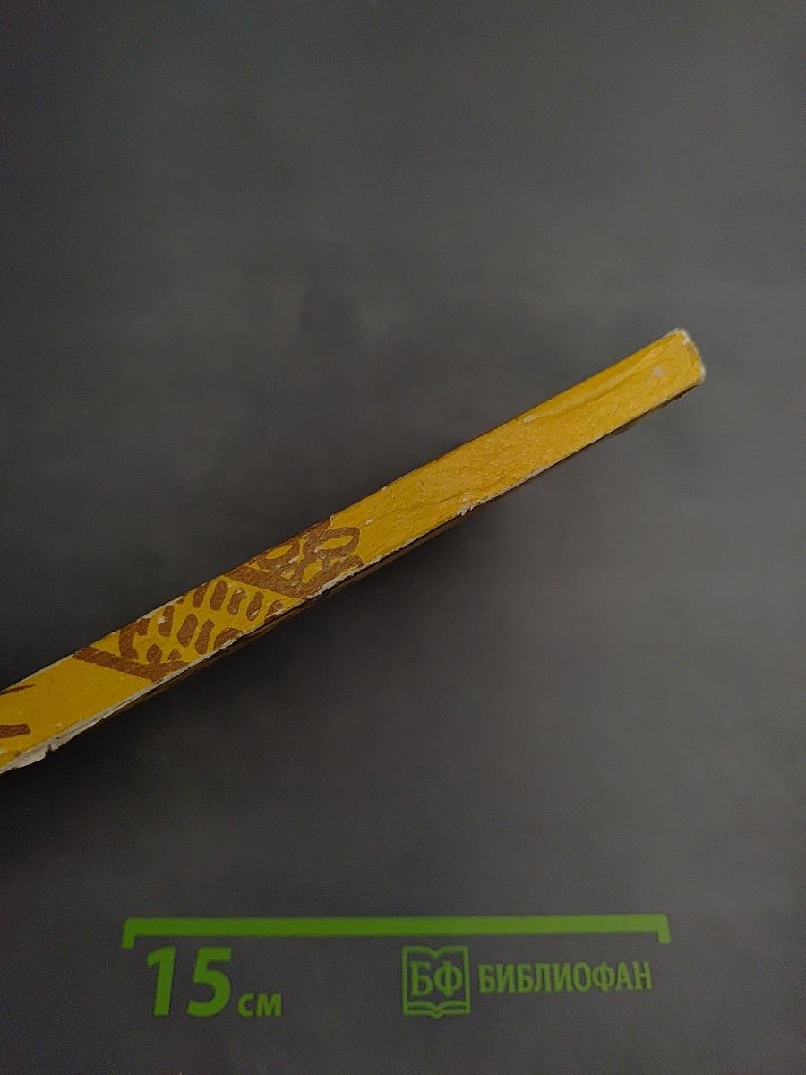 Романы в стенограмме