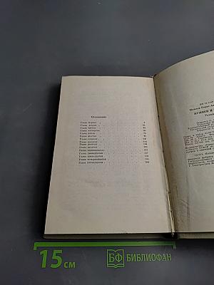 Мужики и бабы