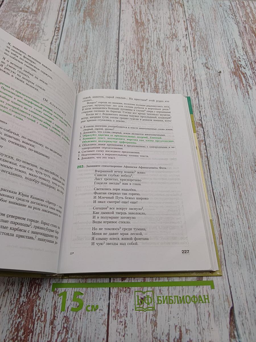 Русский язык. Учебник-практикум для старших классов