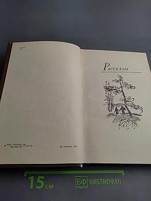 Последний день года