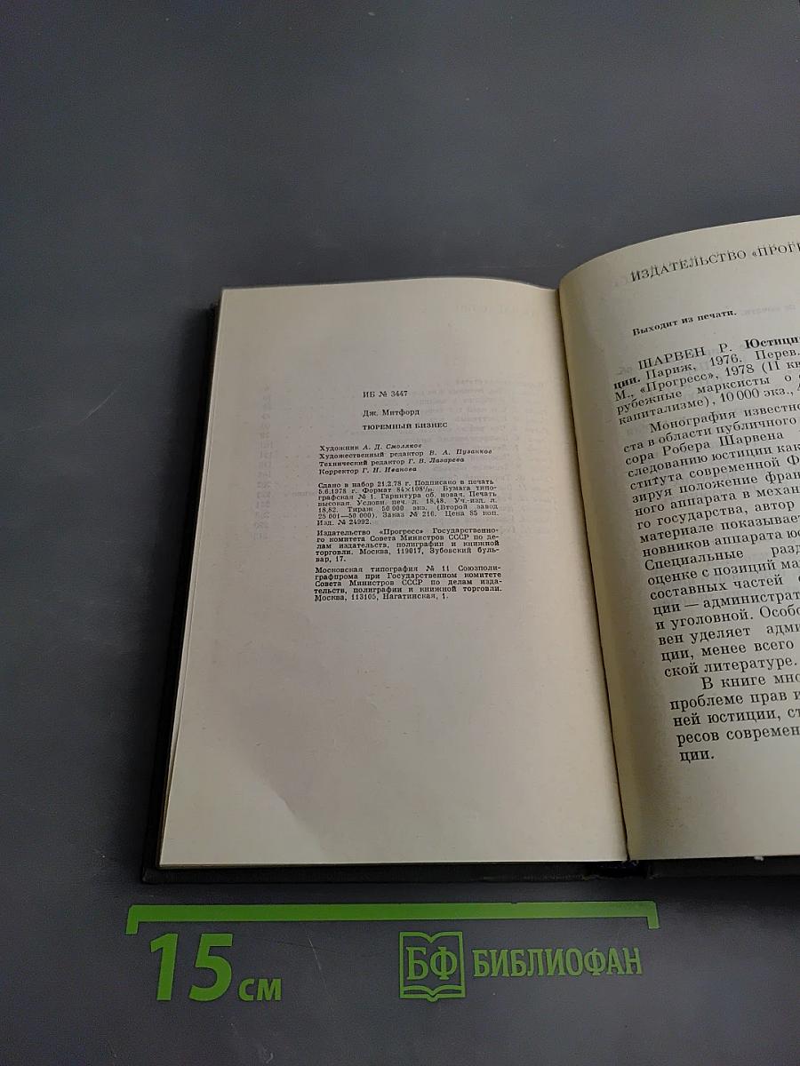 Тюремный бизнес