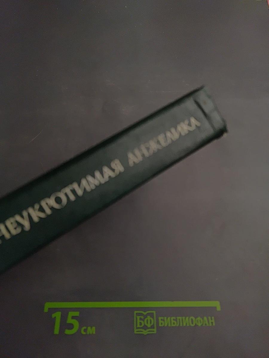 Неукротимая Анжелика