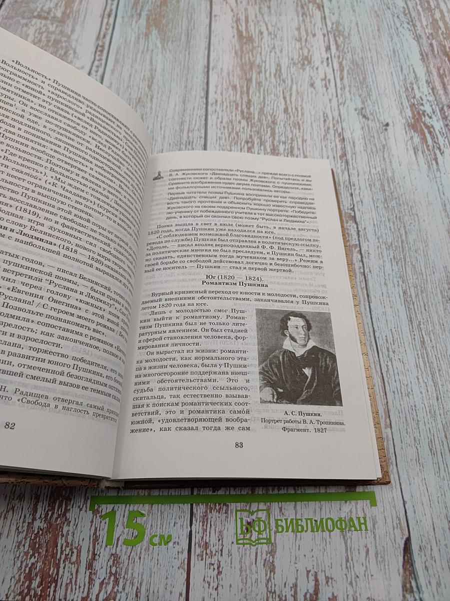 Русская литература XIX века 10 класс Учебник