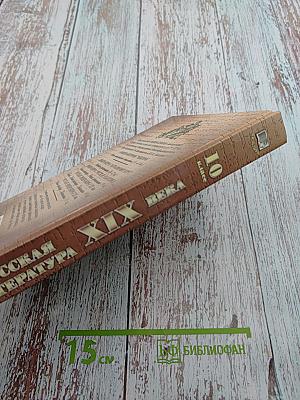 Русская литература XIX века 10 класс Учебник