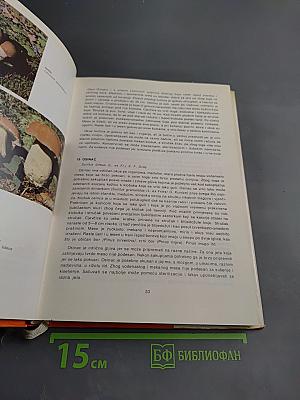 Kuharica SAKUPLJAČA GLJIVA: Branje Konzerviranje Recepti Uzgoj