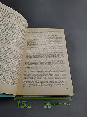 Возрастная физиология и школьная гигиена