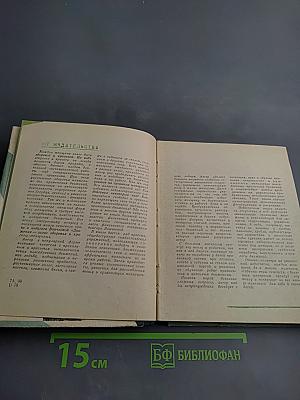 Движение - залог здоровья и красоты женщины