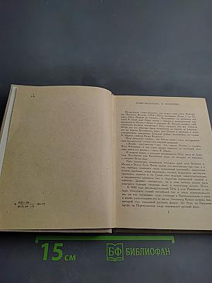 Петр Первый на Севере