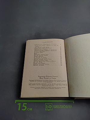 Петр Первый на Севере